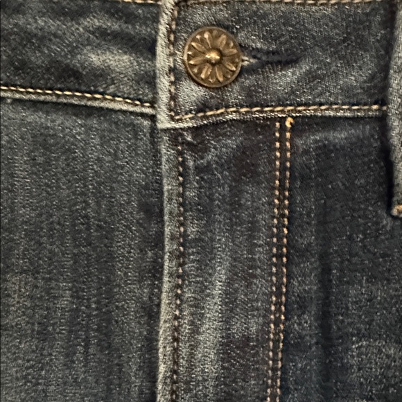 NEW Driftwood Embroidered Jackie Skinny Jean Tobacco & Wine Was Blue Jeans 28 - Picture 13 of 17